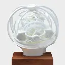 截圖 2025-09-29 上午11.19.32.webp