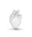 Aqua-Clear_Plus_1400x1600_5.webp