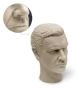 800x (1).webp