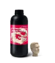 800x.webp