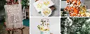 3860x (11).webp